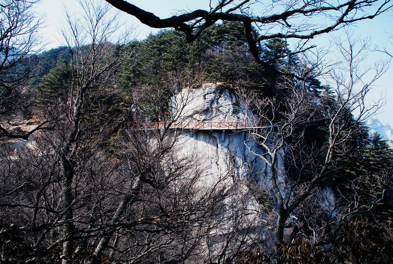 dsc_0663.jpg