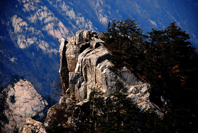 dsc_0676.jpg
