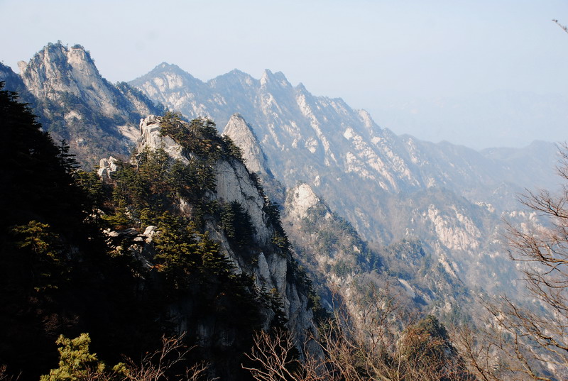 dsc_0686.jpg