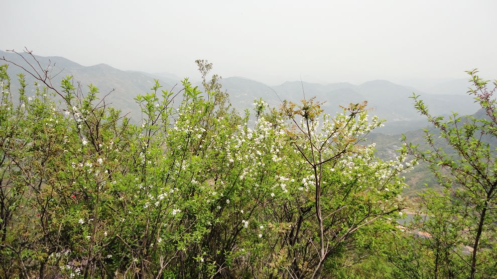 neo_img_dsc02640.jpg