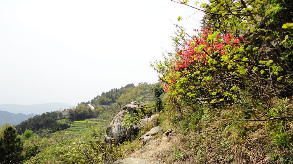 neo_img_dsc02635.jpg