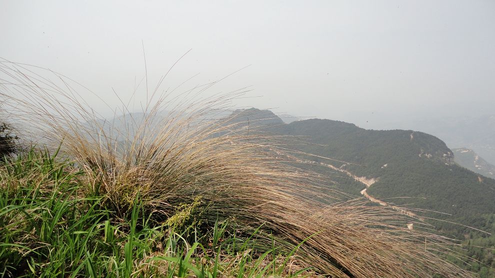 neo_img_dsc02666.jpg