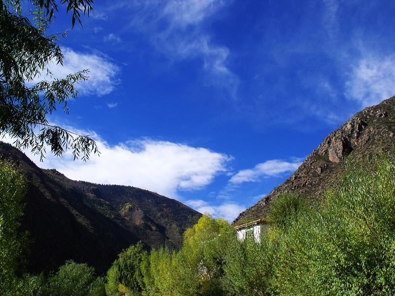 dscf9494.jpg