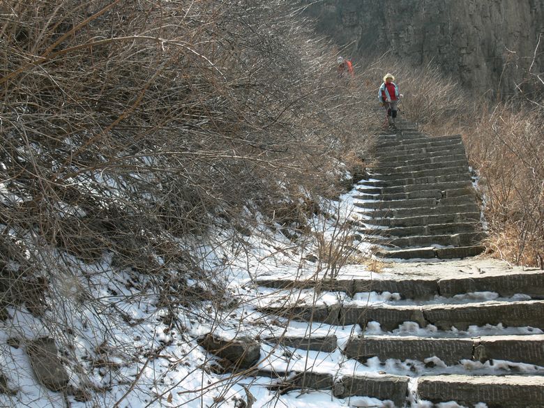 p1140549.jpg