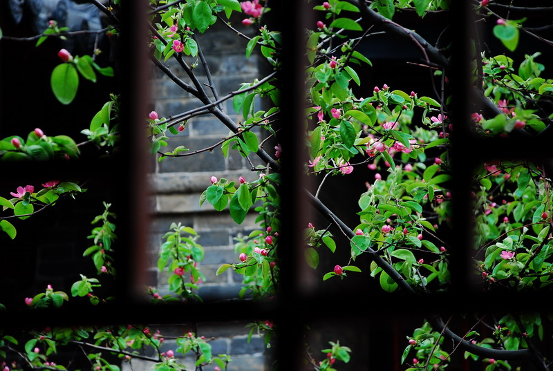 dsc_0774.jpg