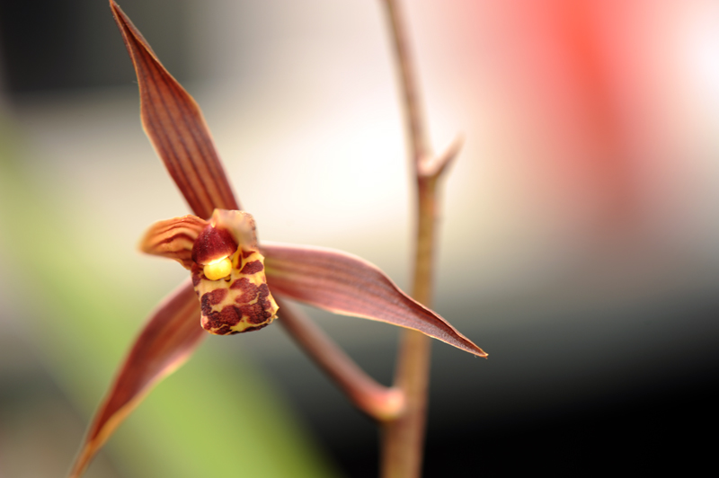 dsc_5964a.jpg