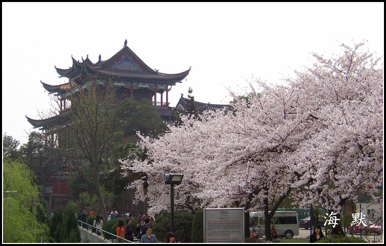 20110331e紨ӣ (13).jpg