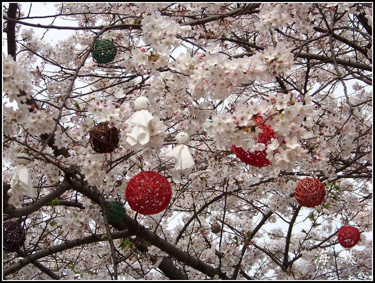 20110331f紨ӣ (65).jpg