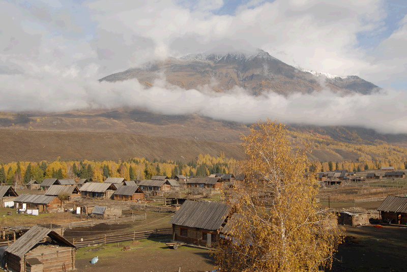 11045508_207238751.jpg