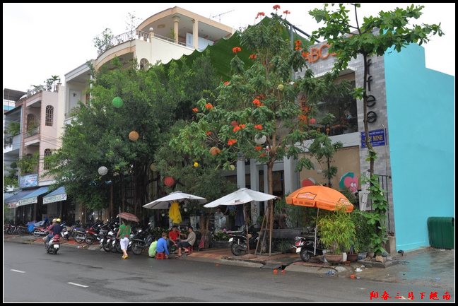 dsc_0041a.jpg