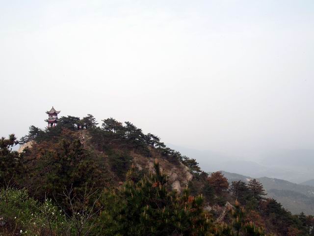 С p4167698.jpg