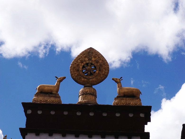 dscf9533.jpg