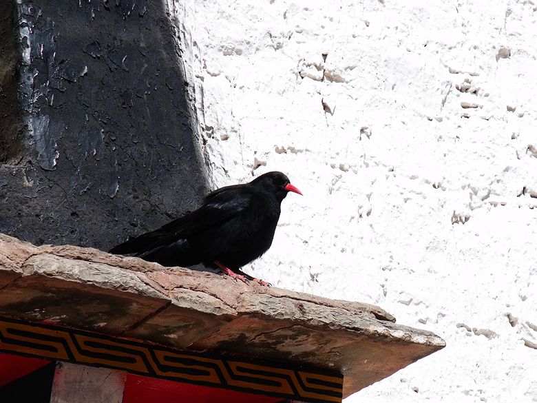 dscf9539.jpg