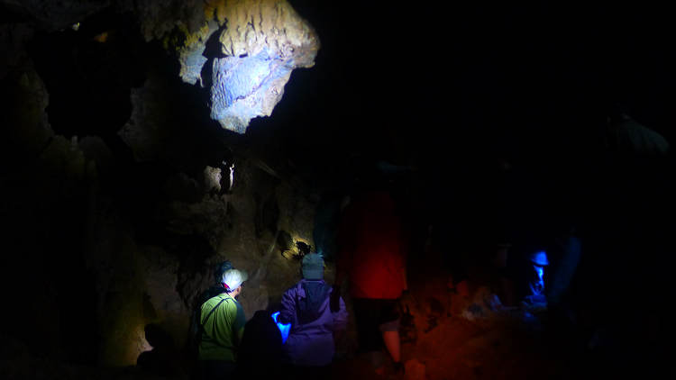 p1030636.jpg