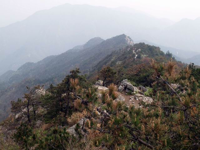 С p4167699.jpg