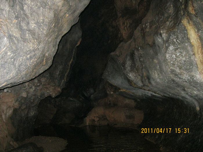 img_0881.jpg