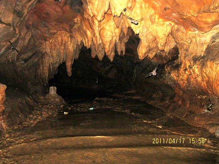 img_0897.jpg
