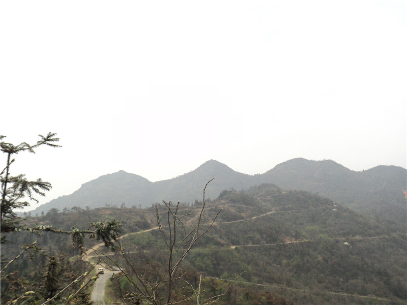 dsc03433_.jpg