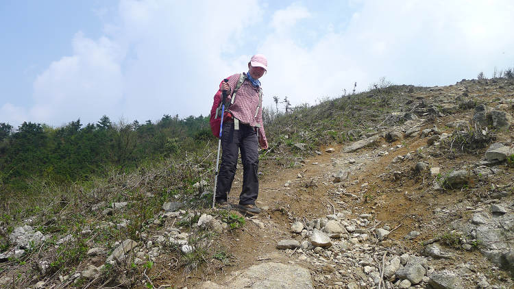 p1040074.jpg
