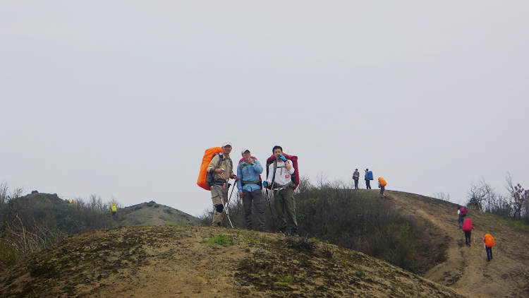 p1030863.jpg
