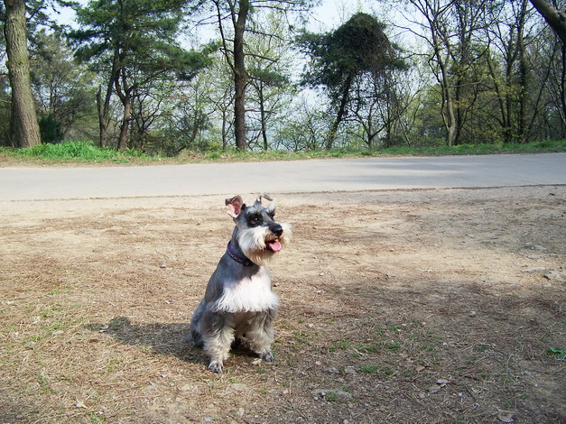 100_0174.jpg