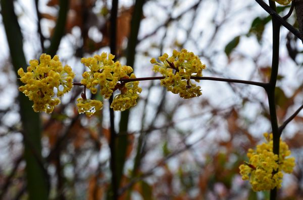 dsc_0328.jpg