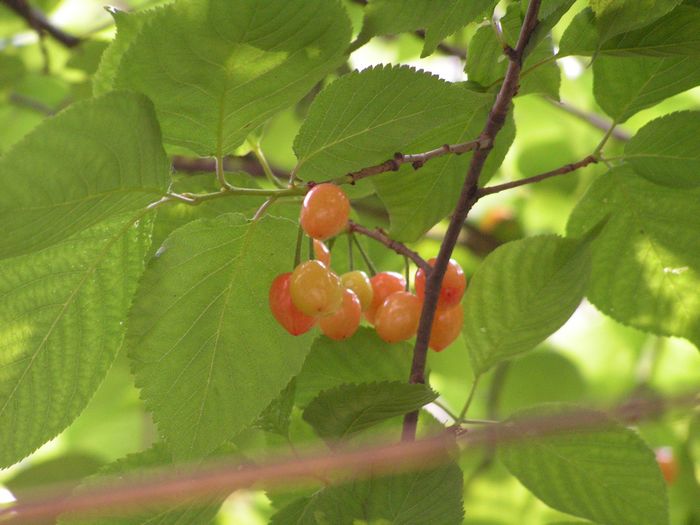 ӣ-2.jpg