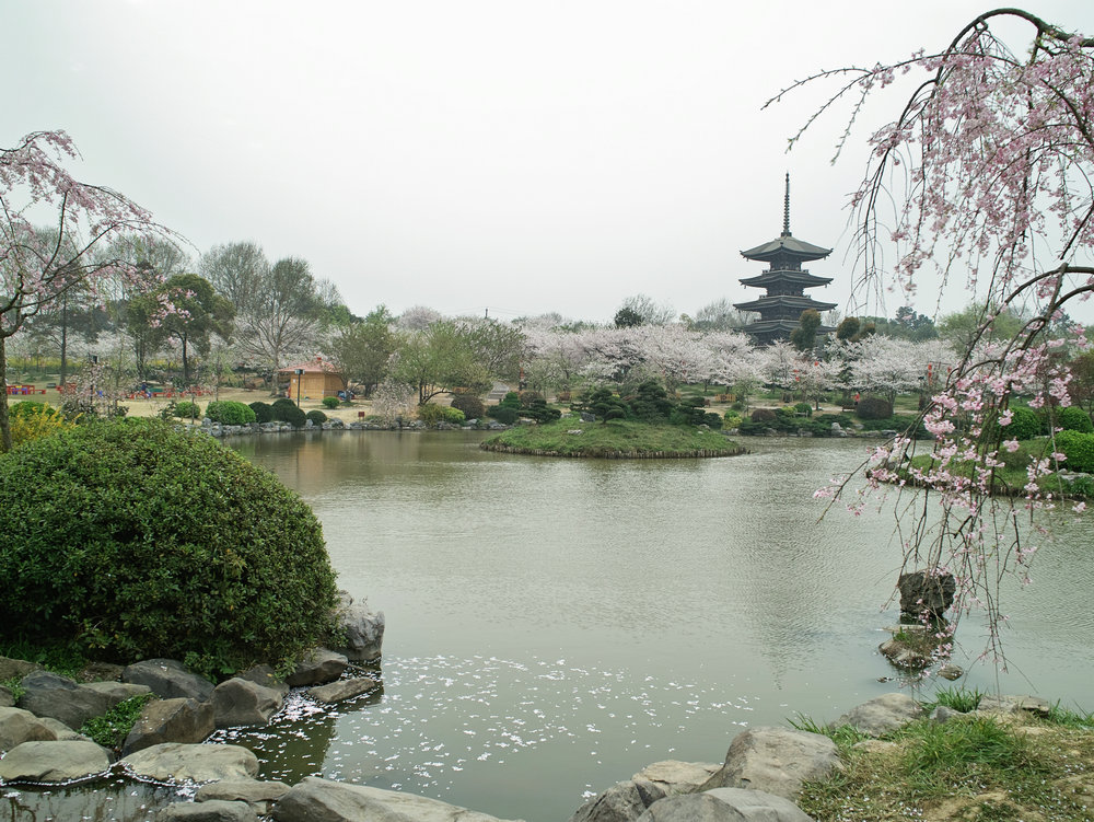 sdim0173.jpg