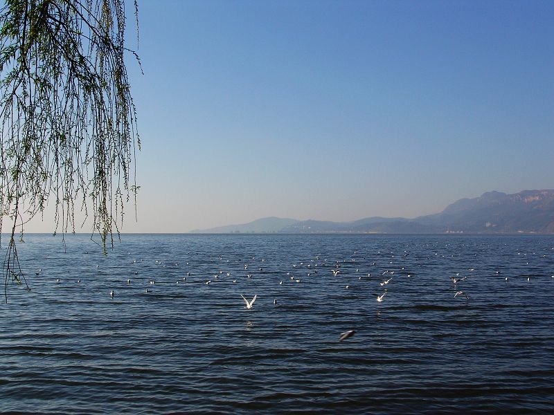 dsc00946.jpg