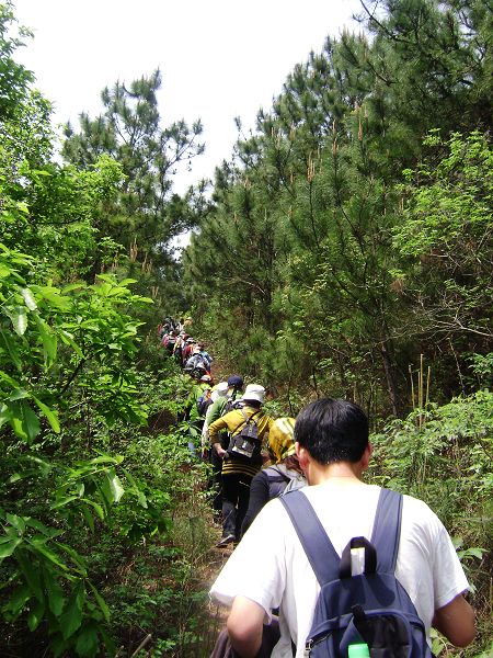 dsc08750-1.jpg