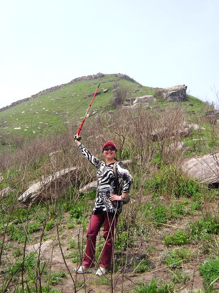 dsc08767-1.jpg