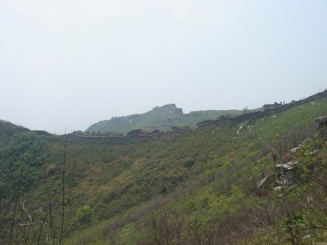 dsc00401.jpg