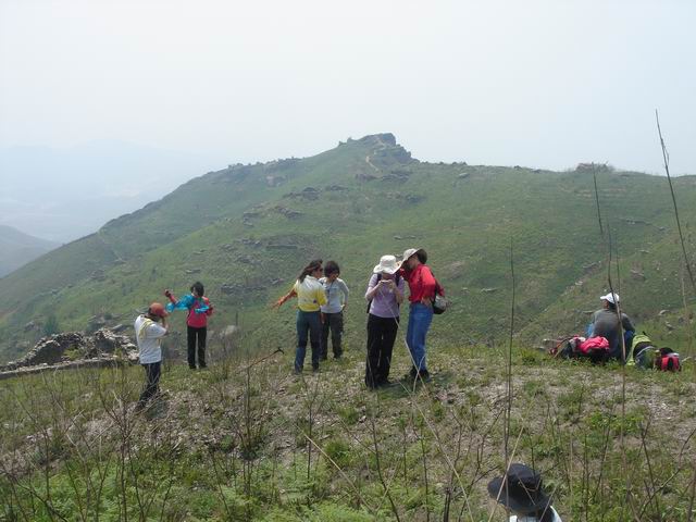 dsc00409.jpg