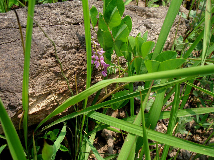p1012730.jpg