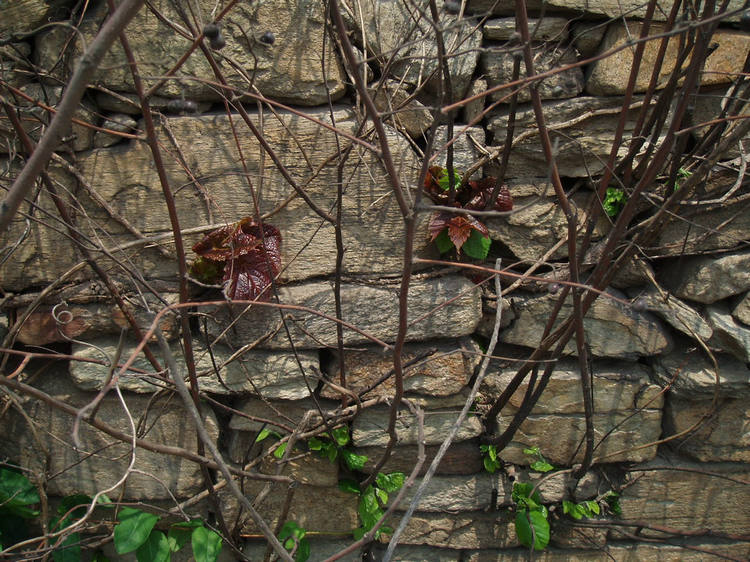 p1012757.jpg