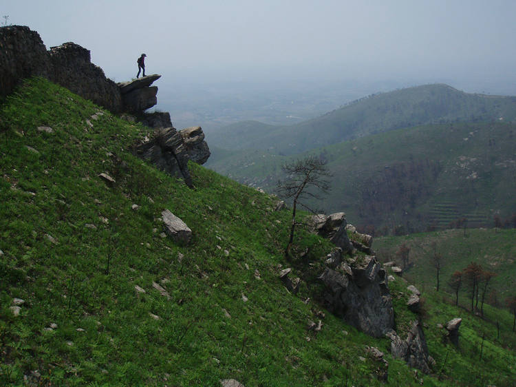 p1012785.jpg