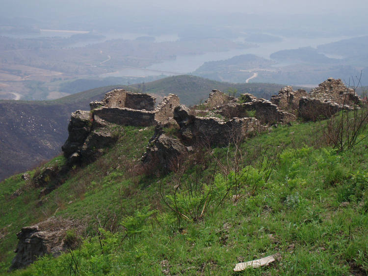 p1012793.jpg