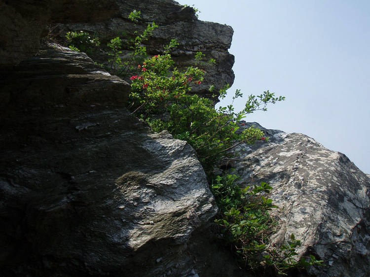 p1012819.jpg