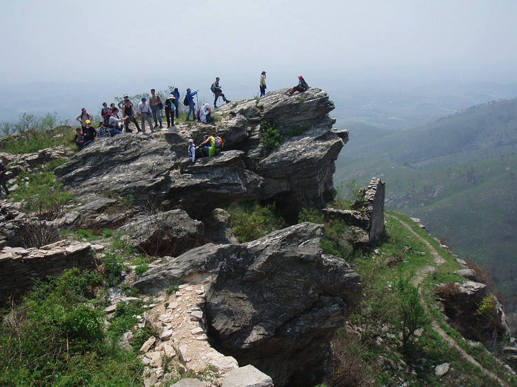 p1012798.jpg