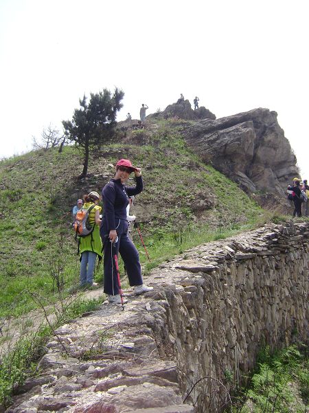 dsc08791-1.jpg