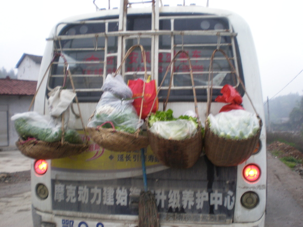 20110422_062527_15.jpg