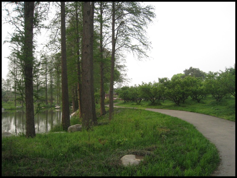 conew_img_5774.jpg