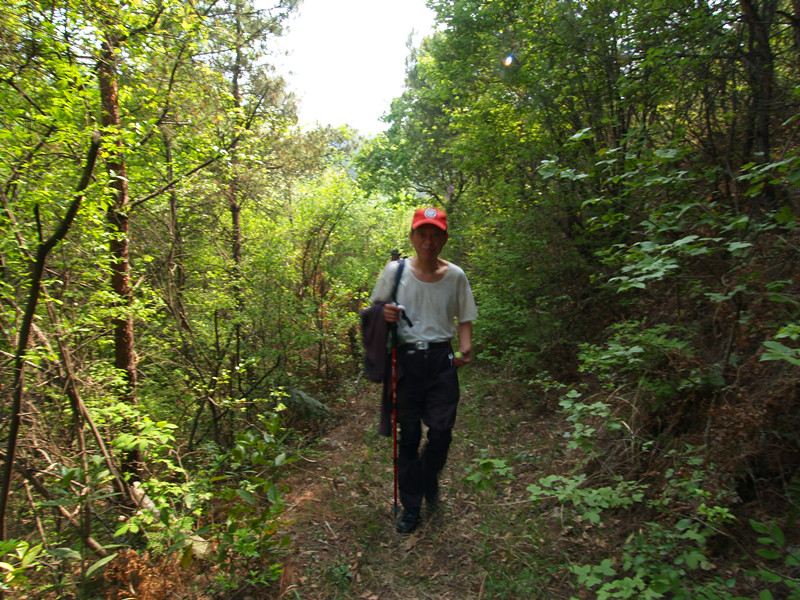 p4236154_.jpg