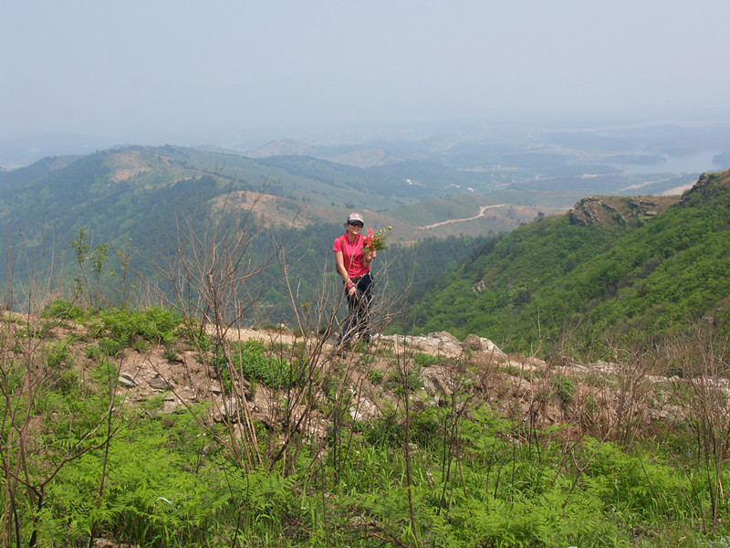 p4236105_.jpg