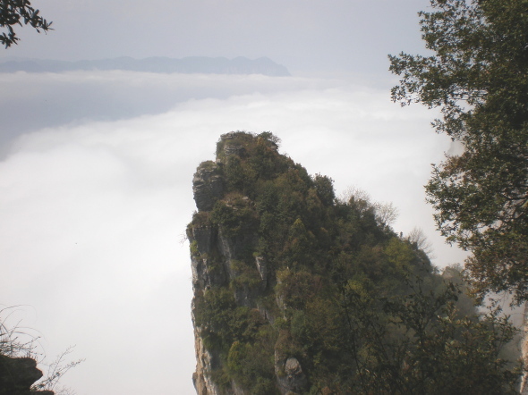 20110422_101955_59.jpg