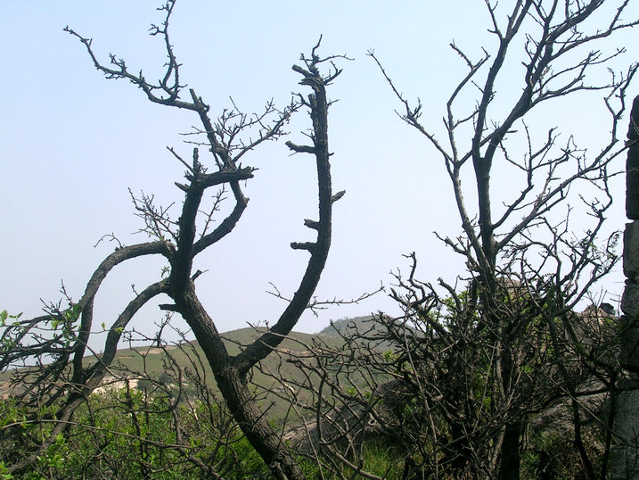 56.jpg
