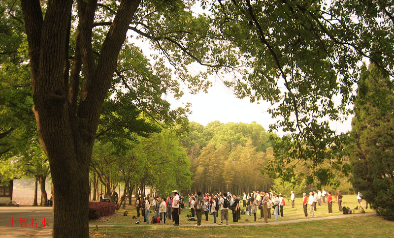 Ƭ 026_jp.jpg