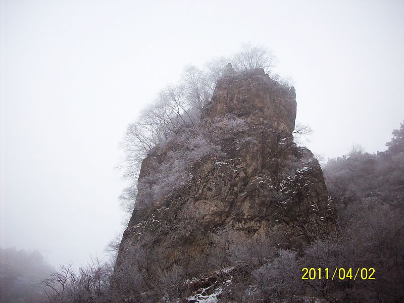 ̫ 137.jpg
