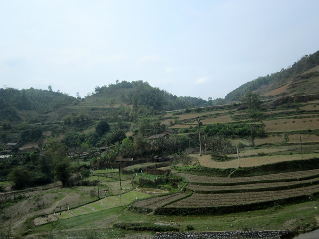 img_9898.jpg