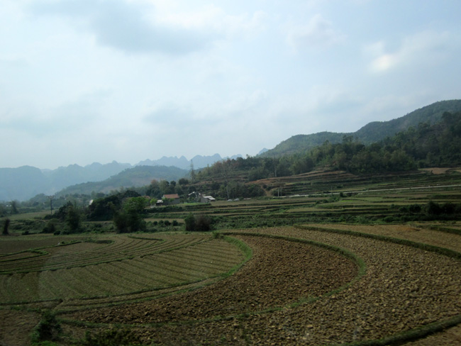 img_9923.jpg